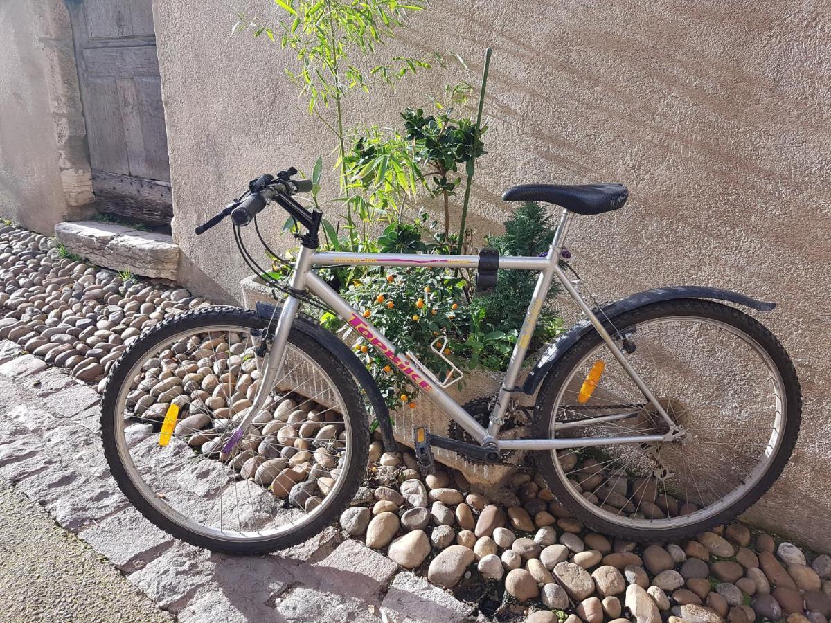 Tournus Castrum Romain - Duplex 54 M2 - 3 Etoiles - Petit Box Velo - 5Mn Autoroute المظهر الخارجي الصورة